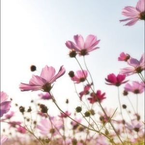 Meet your Poshers, Natasha and Melina!